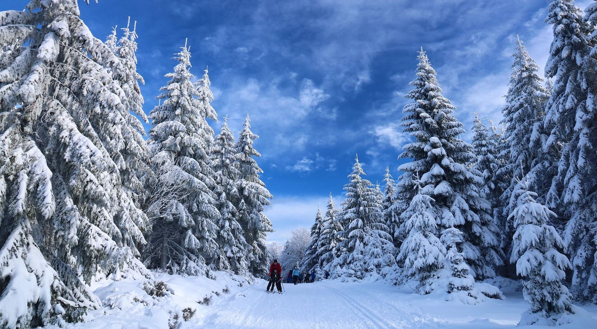 Unlocking the Balkans’ best-kept secret: Inside Kolašin Valleys’ premium alpine real estate