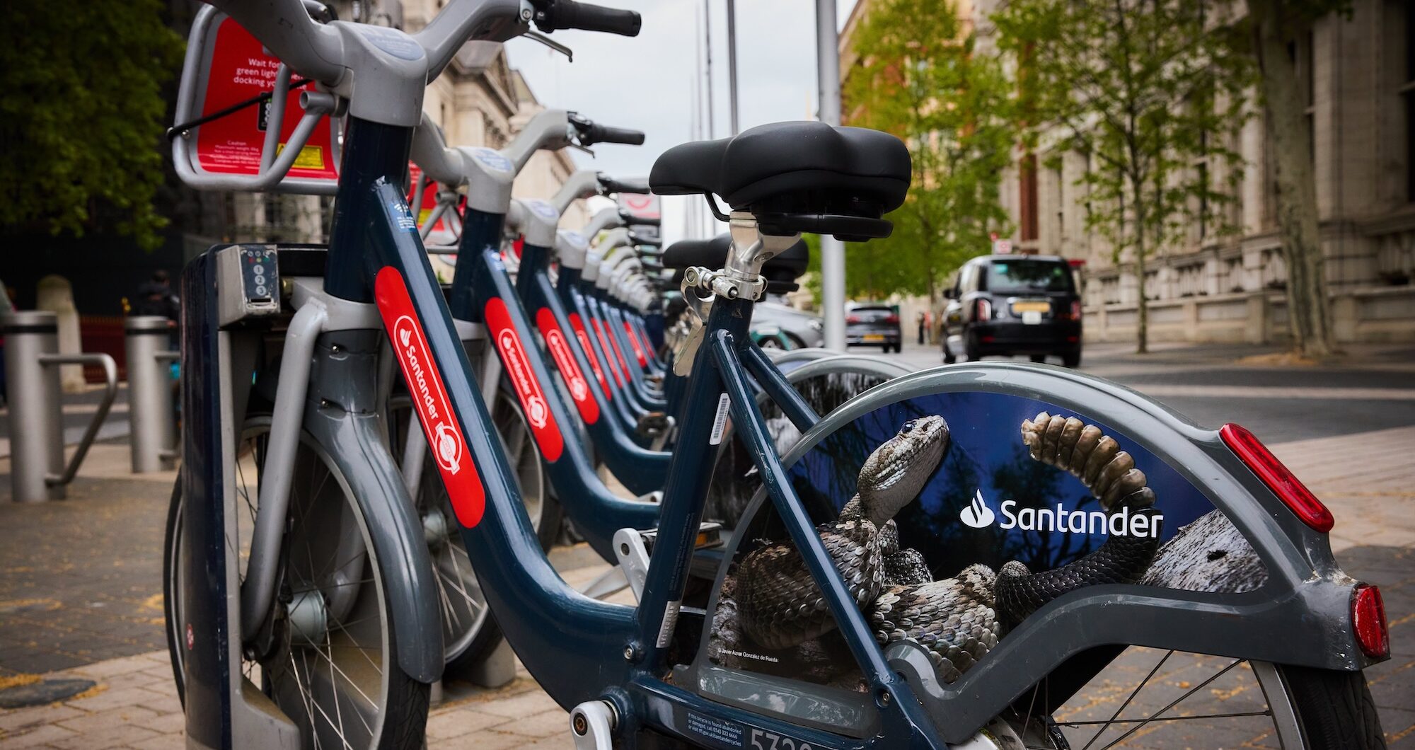 Santander Cycles launches London wildlife photography challenge with prizes and new cycling routes