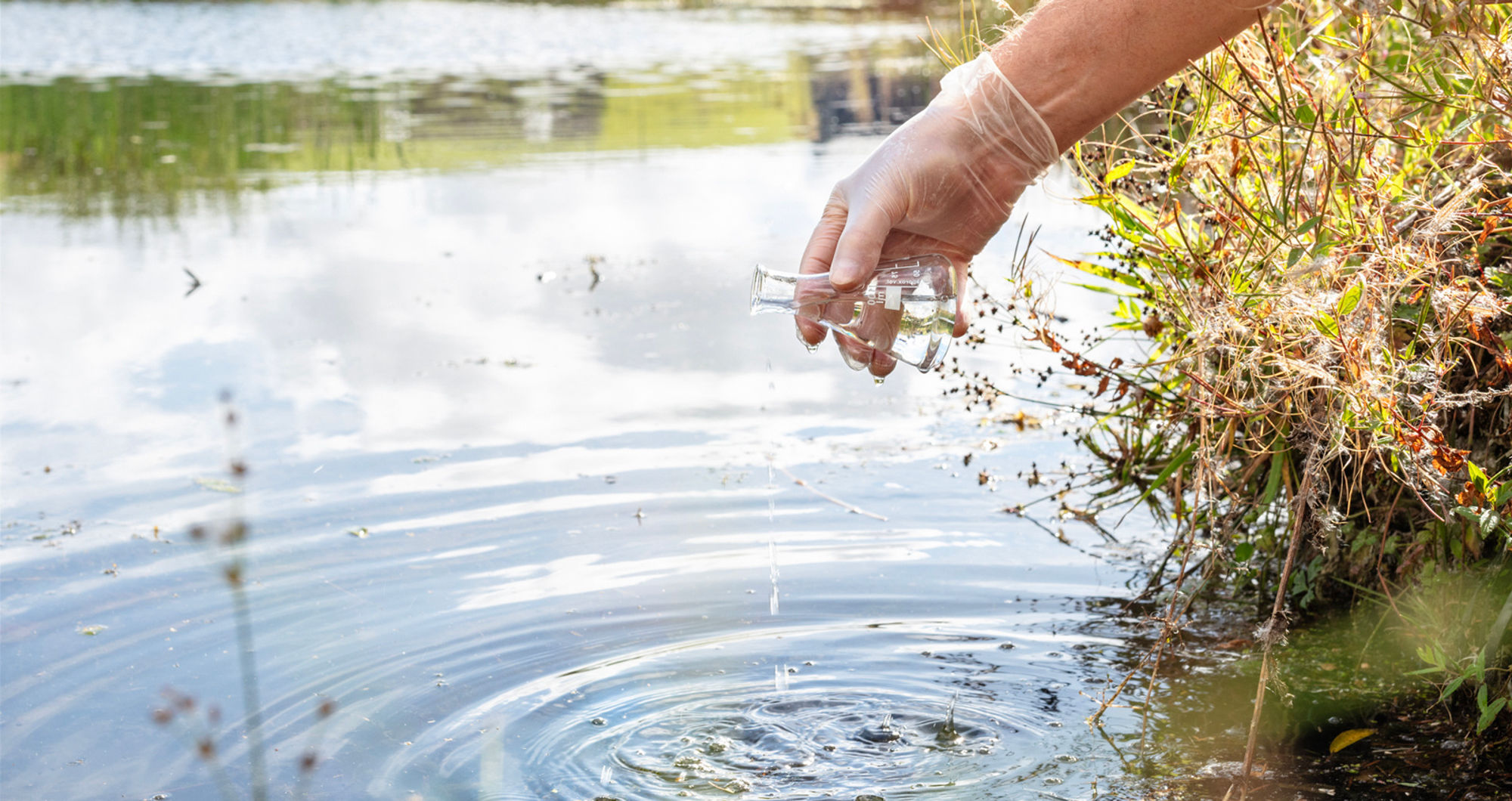 Combating UK river pollution: How APP group sustainability supports the elimination of harmful ‘Forever Chemicals’ through sustainable fibre innovation