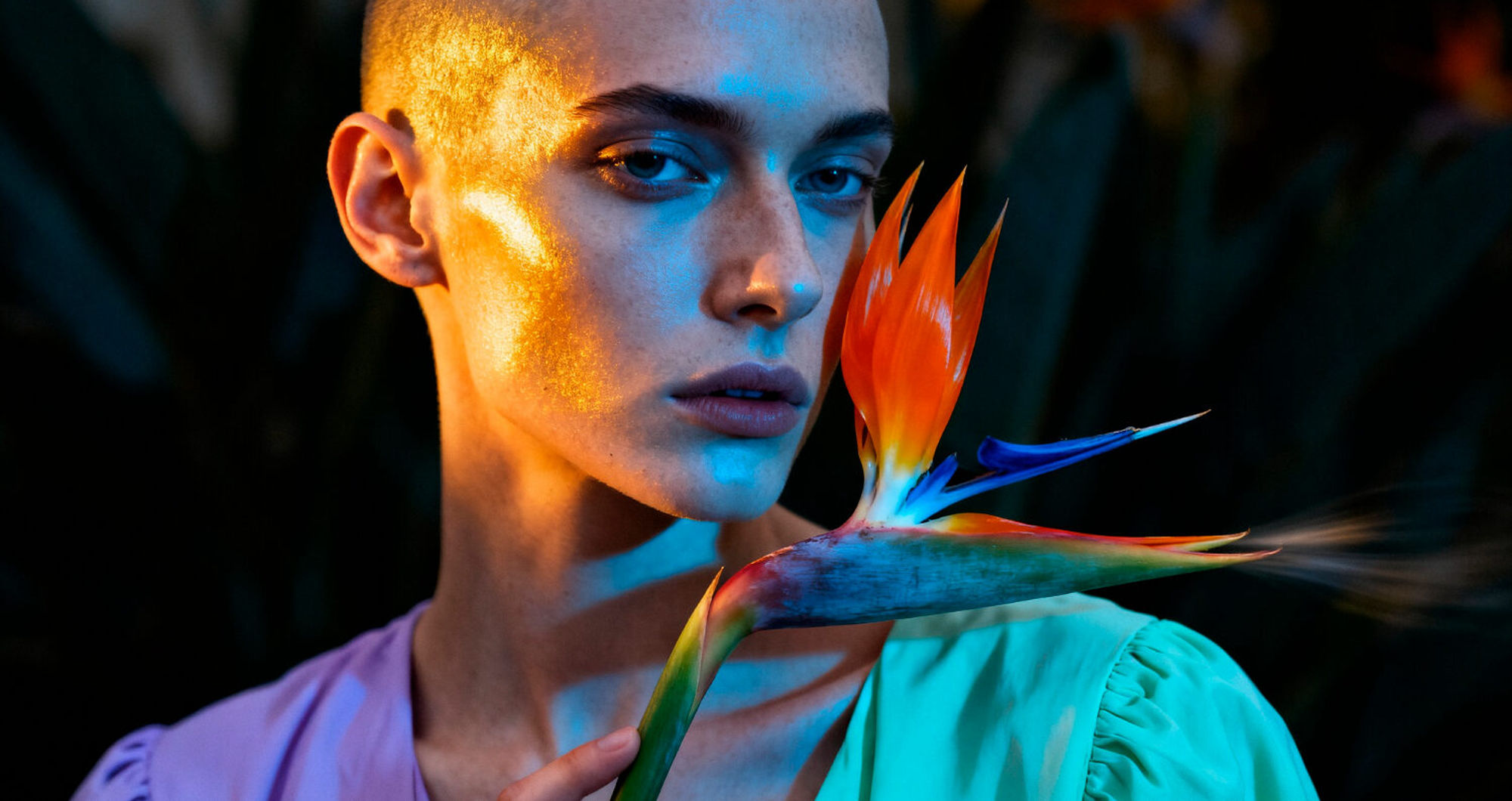 Why AI creative platforms are moving beyond image generation