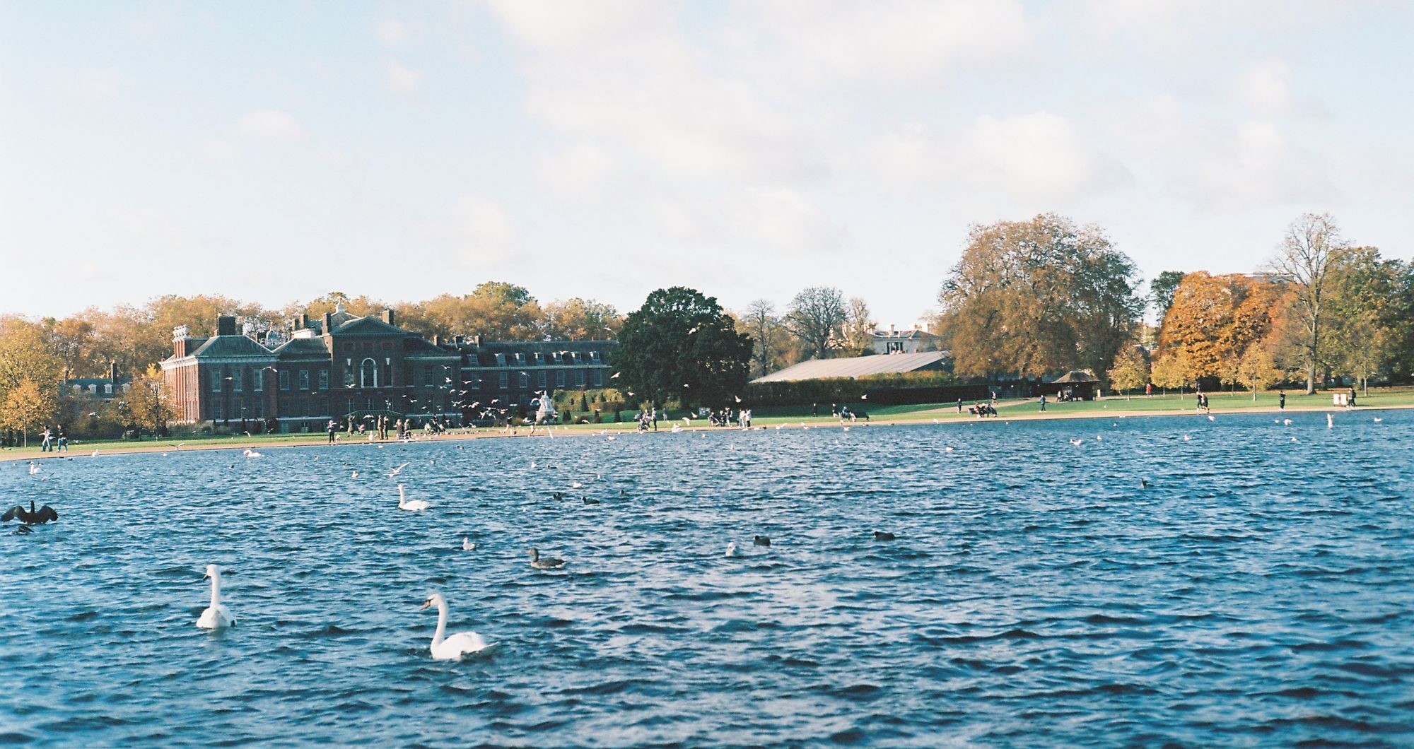 London's Best Parks for the Perfect Picnic
