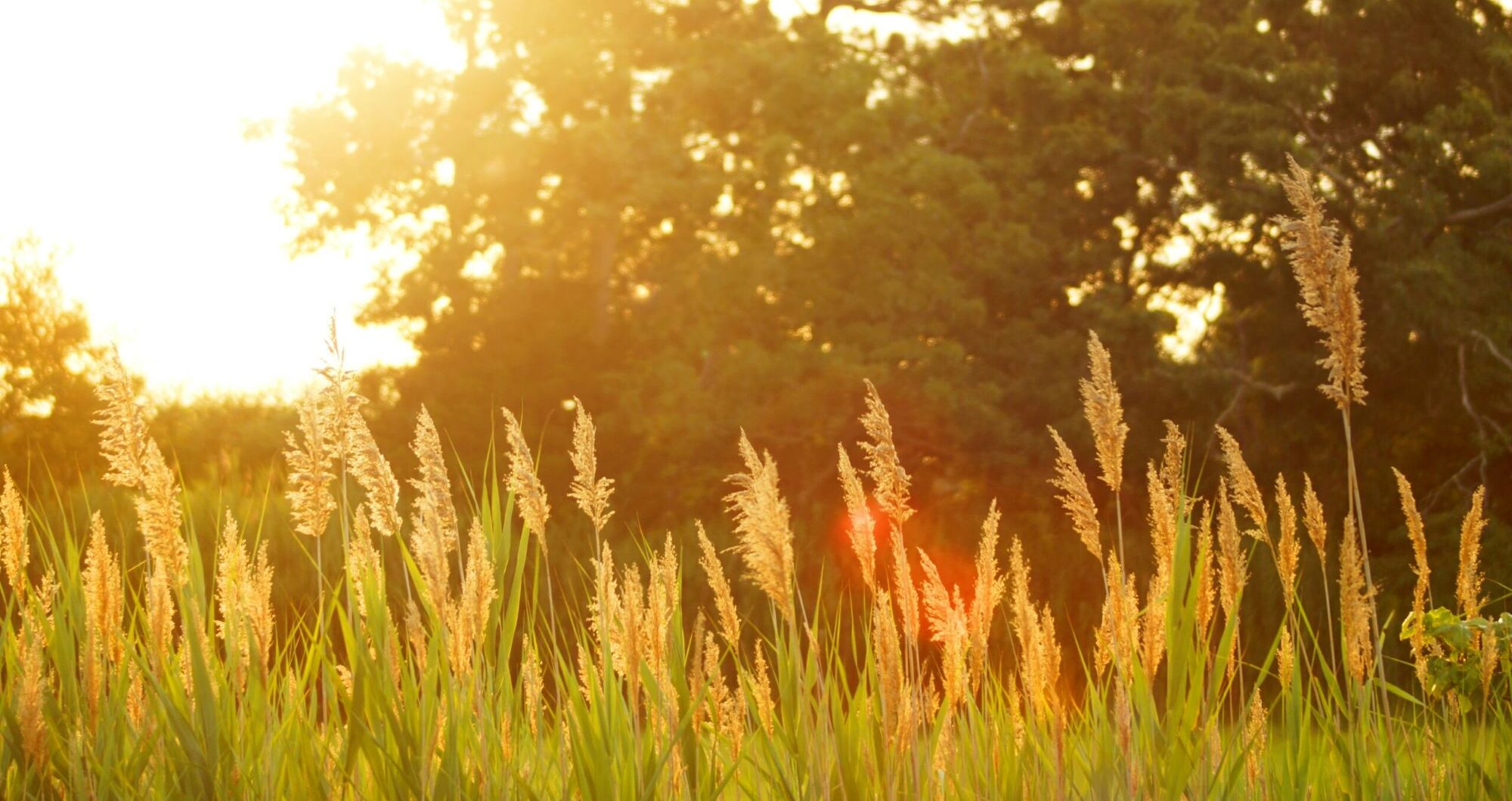 Struggling to sleep in the heat? 7 expert tips for better rest on hot summer nights