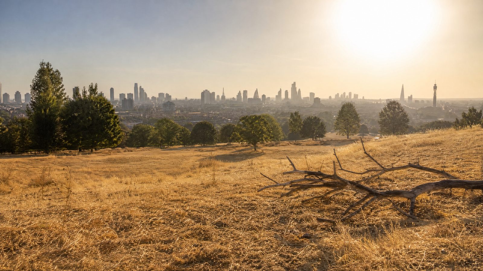 Mayor and Fire Brigade issue urgent warning over extreme wildfire risk in London