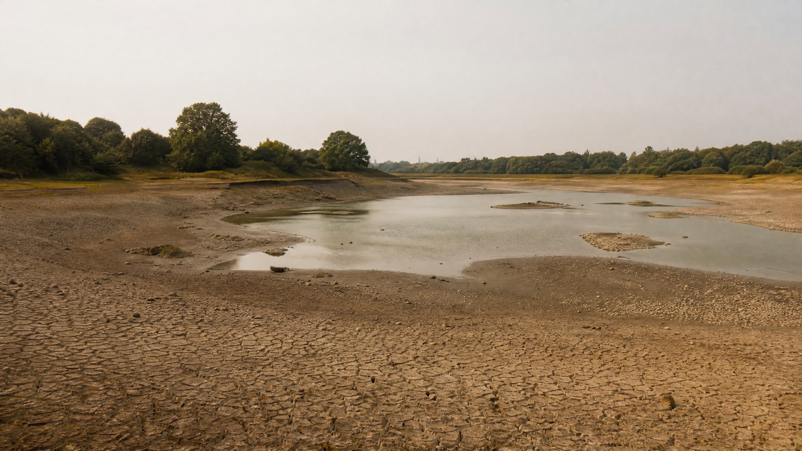 London officially declared in drought as water restrictions take hold ...