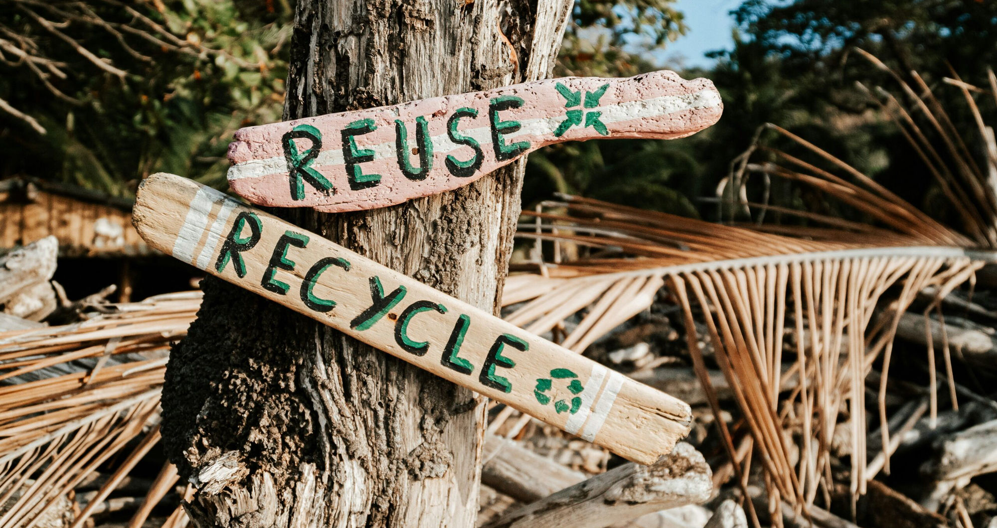 Five ways to save money this summer – and help save the planet too
