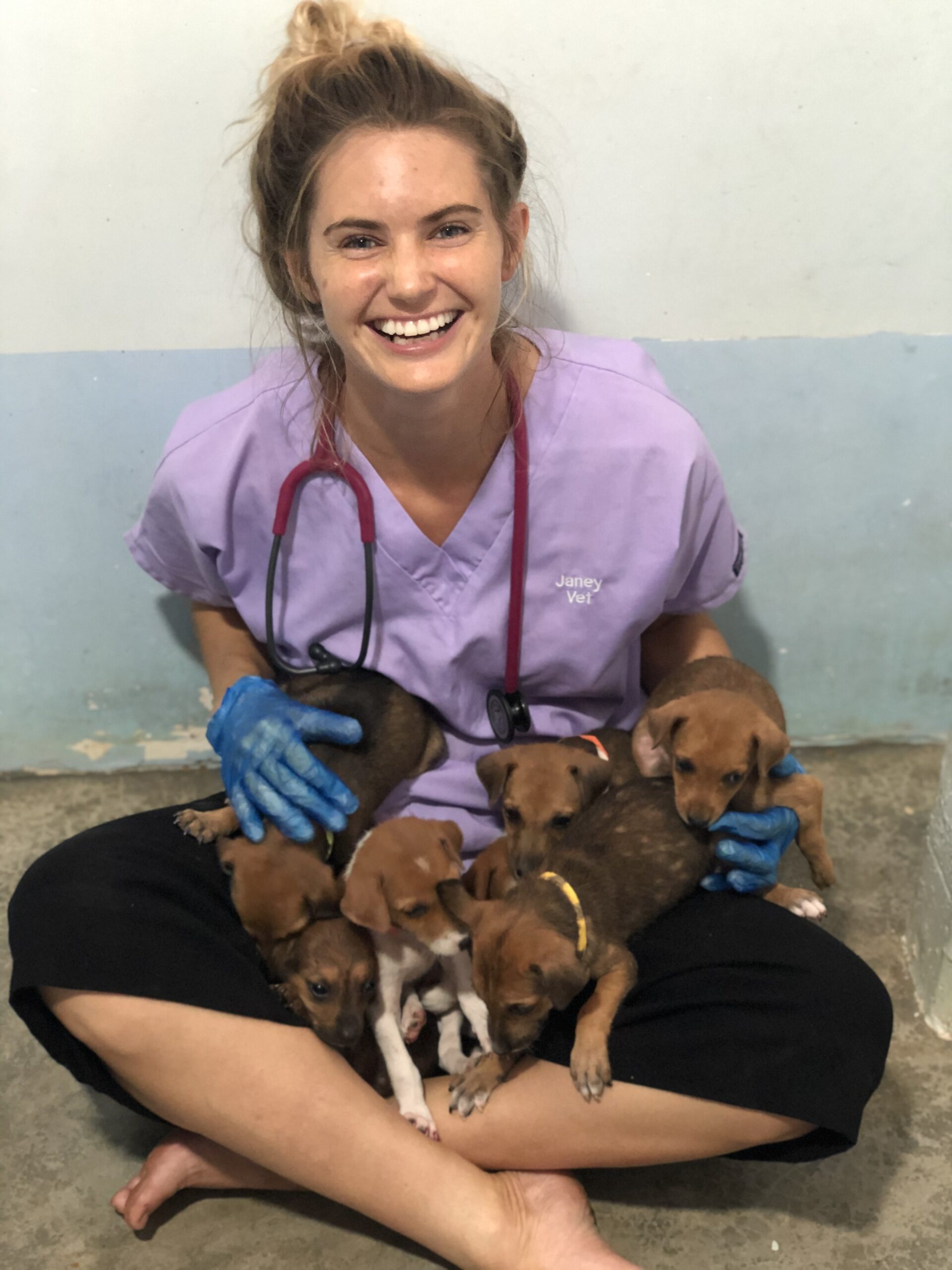 British vet to run 600km across Sri Lanka for three million street dogs