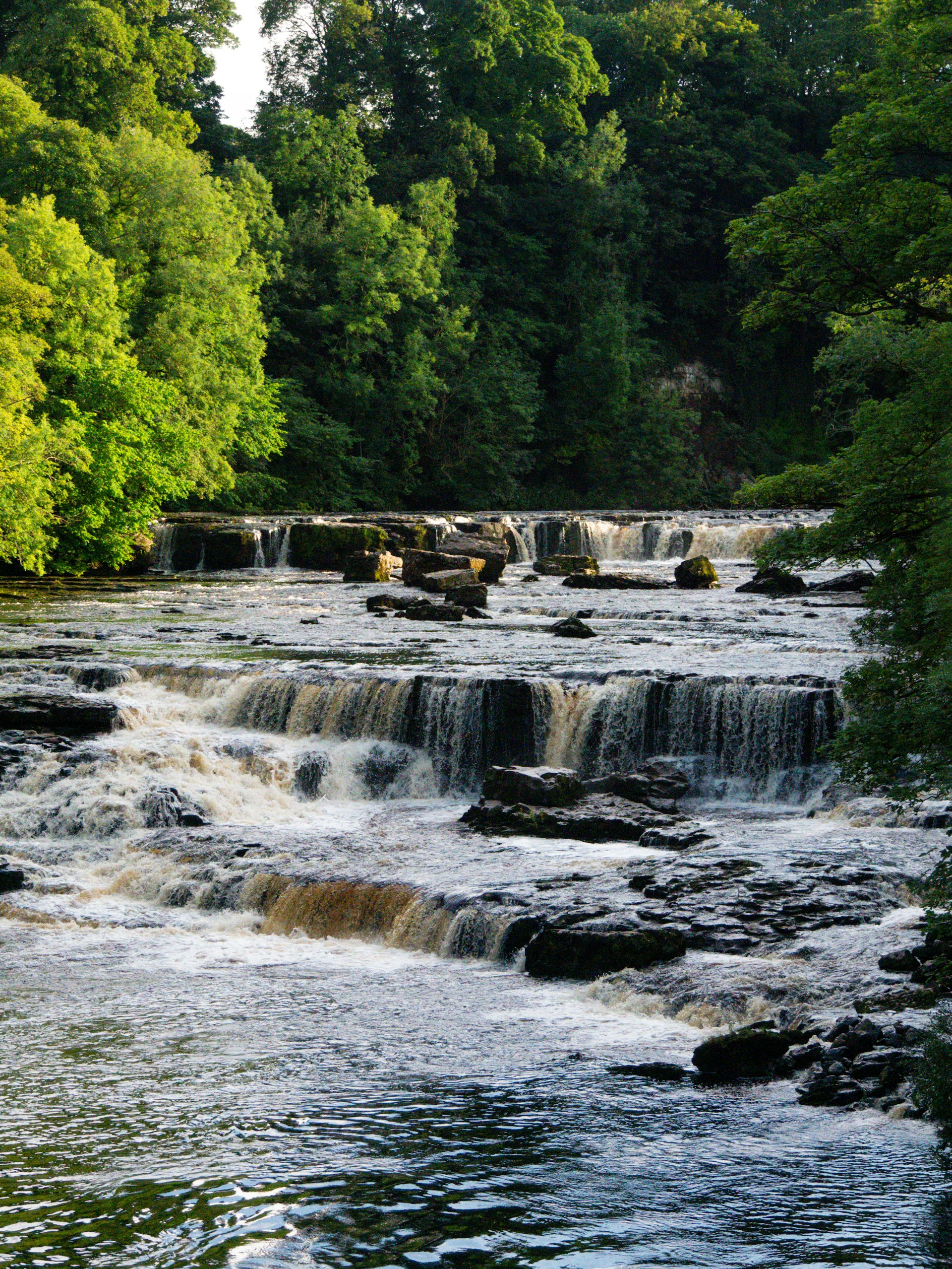 Aysgarth Falls in the Yorkshire Dales