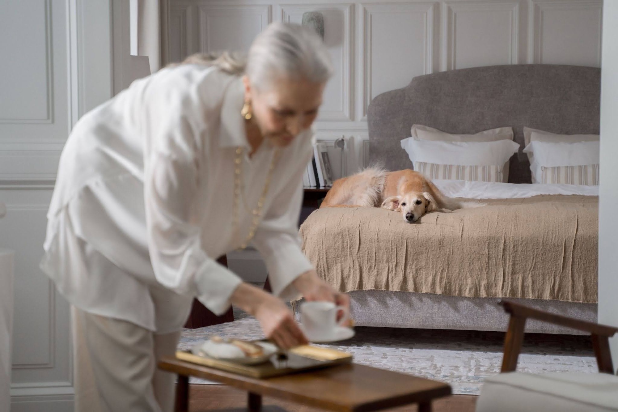 Dog-friendly hotels done properly: What to look for beyond the welcome treat