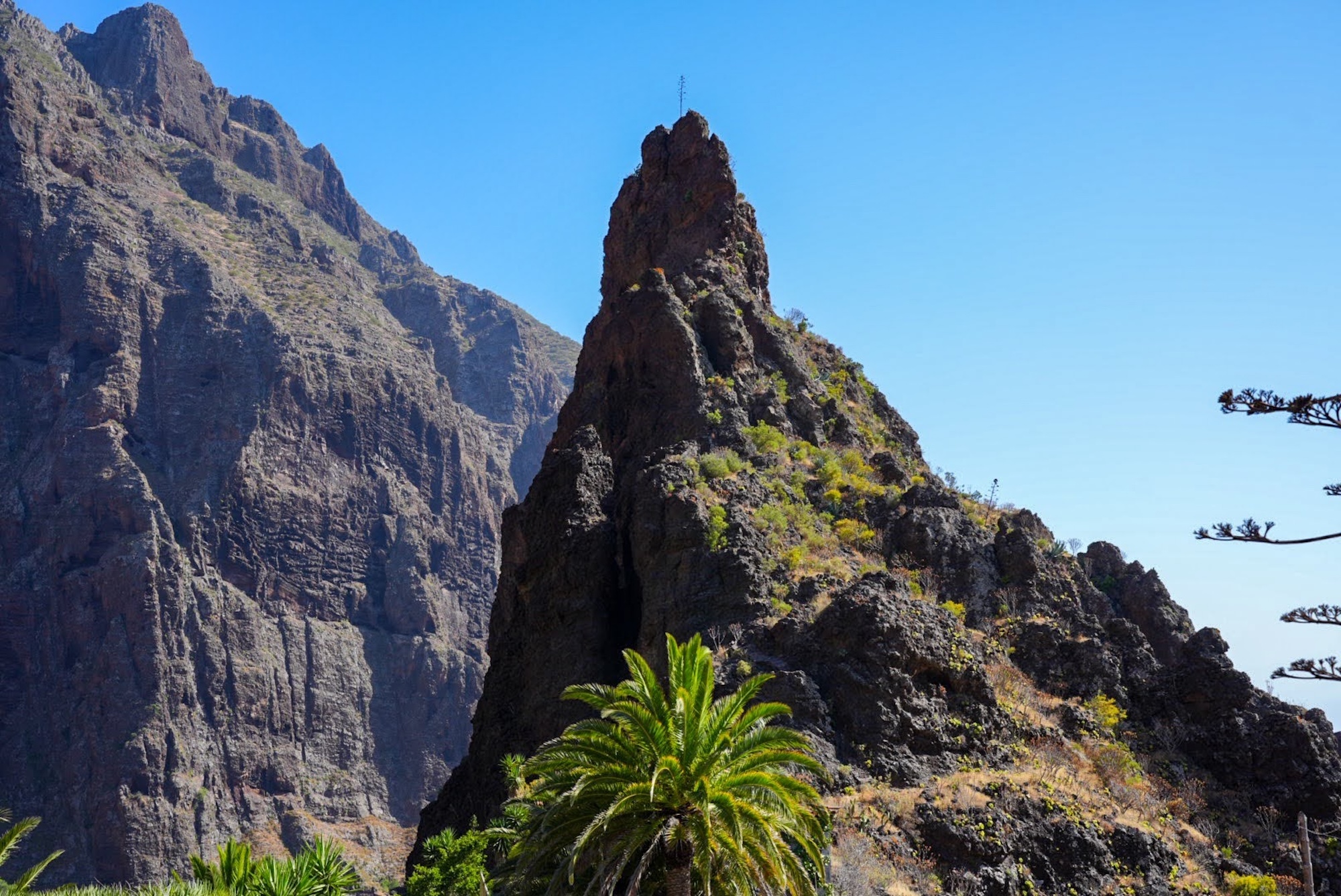 Tenerife’s west coast: Winter sun in the quieter side of the island