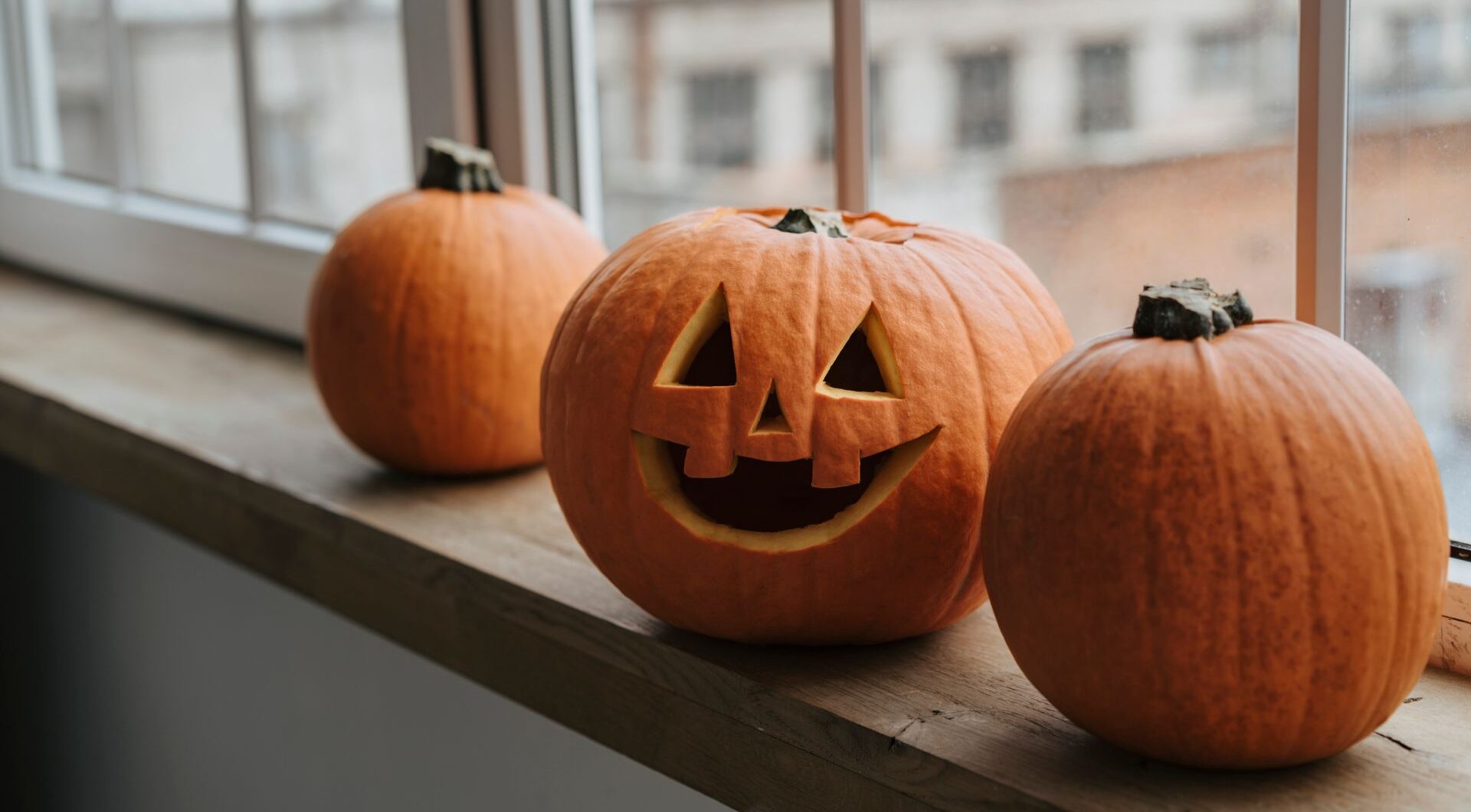Decorating with pumpkins this October? How to keep rats away from your autumn display