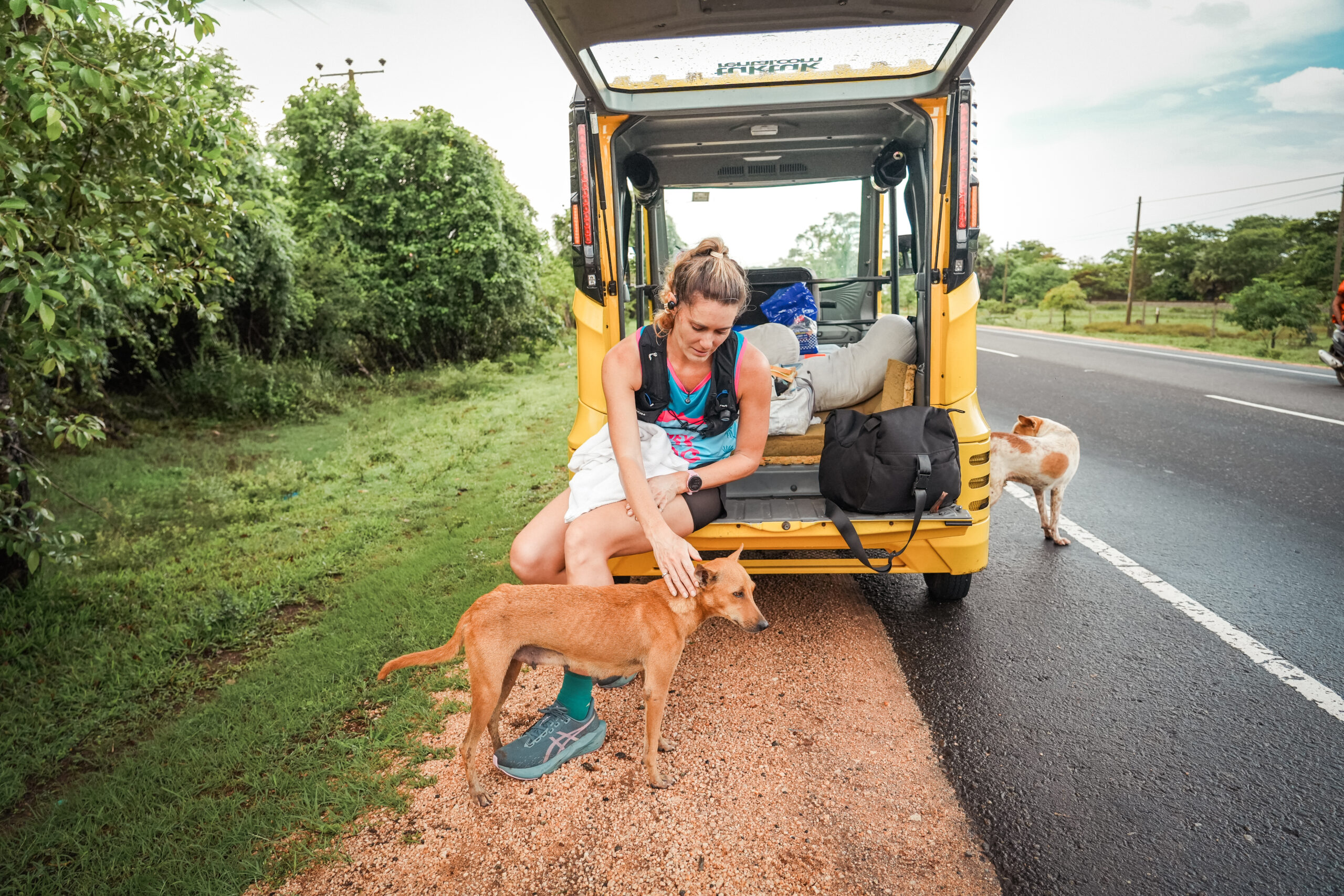 British vet stops Dog Jog to help suffering street dog