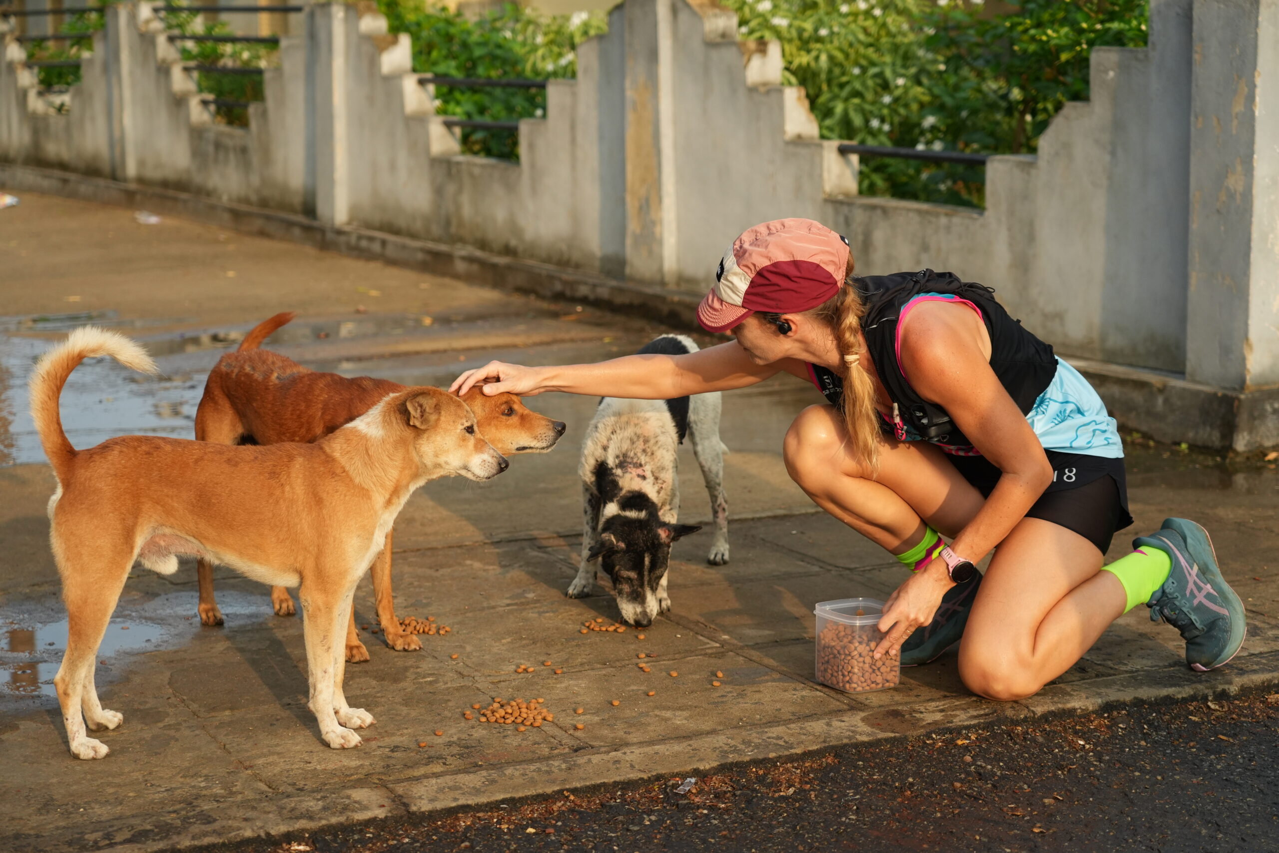 83 dogs in 25 km: British vet completes first day of fundraising run across Sri Lanka