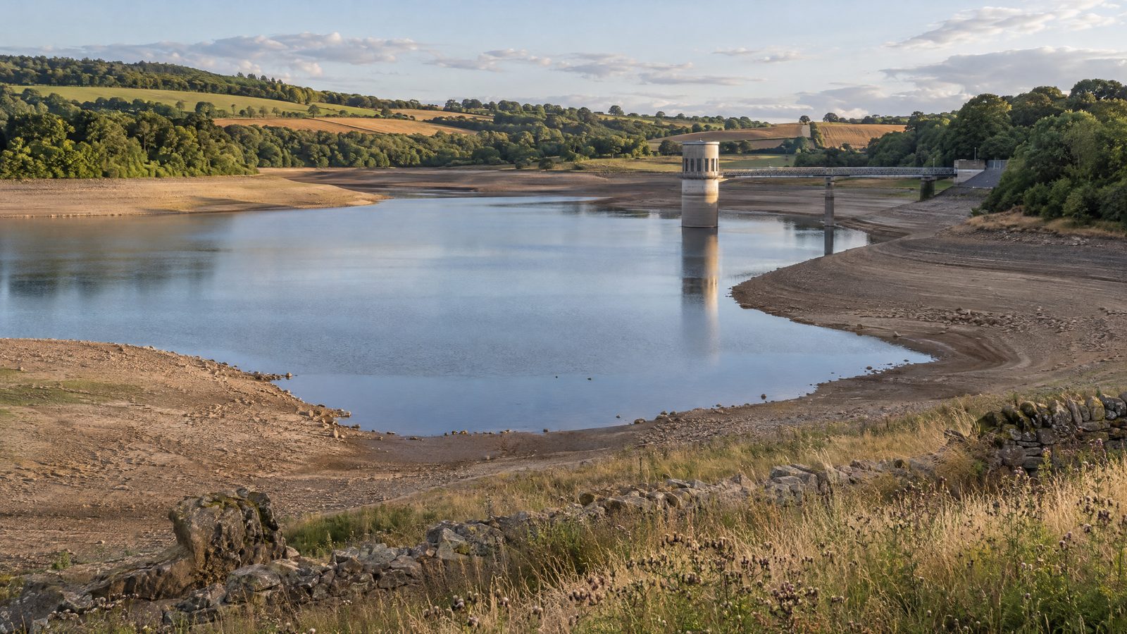 Water companies set out drought response as southern England remains under pressure