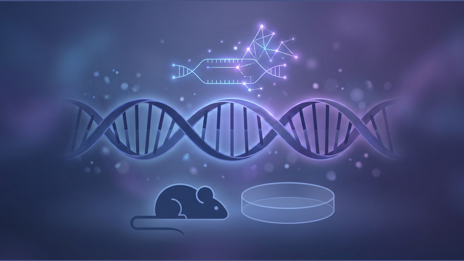 Cardiff team reports Huntington’s gene-editing results in mice