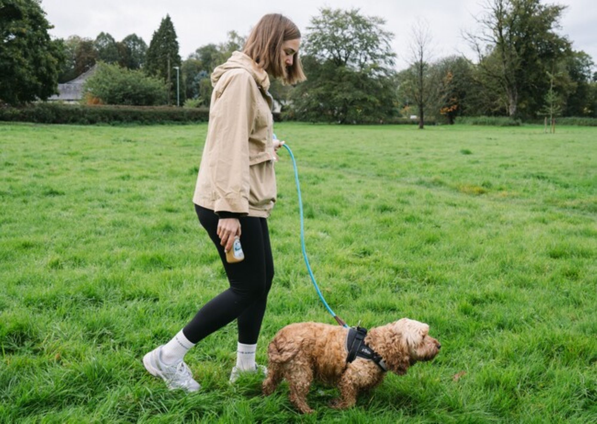 Bark to the future: Why the clocks going back could leave your dog totally confused