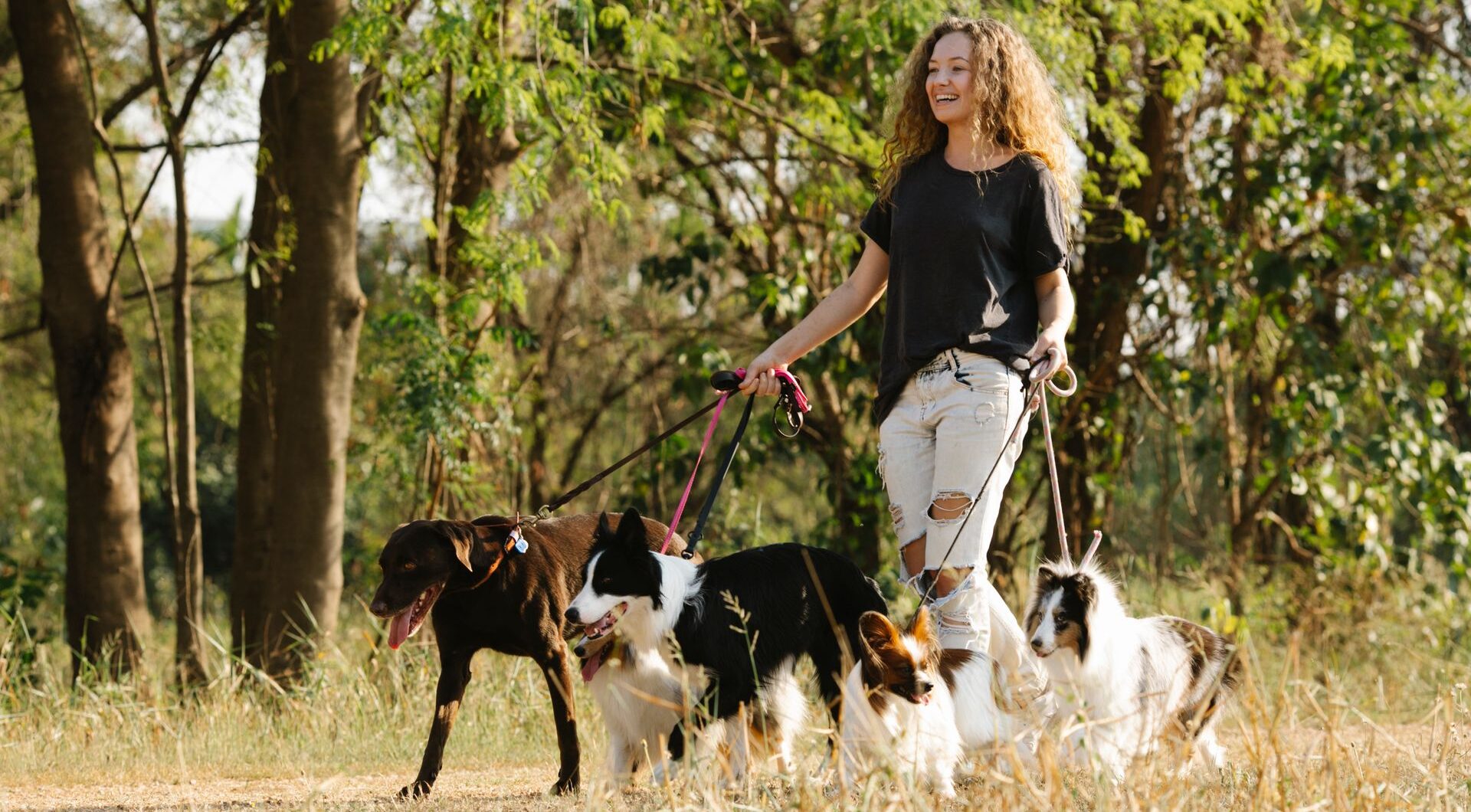Bark to the future: Why the clocks going back could leave your dog totally confused
